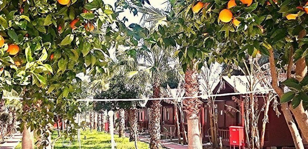 Dream Park Bungalow Titreyengol Exterior foto